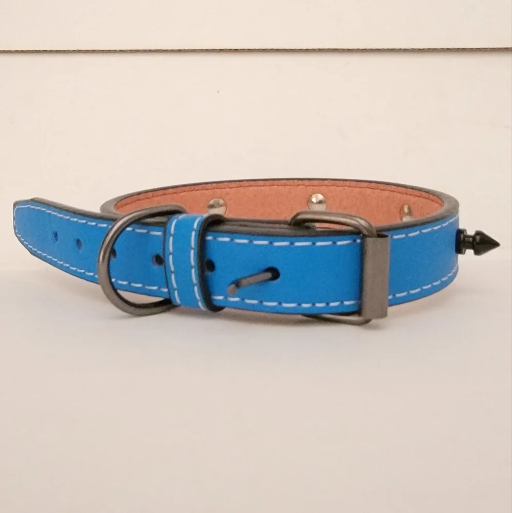 Studded Dog collar Blue Studded faux leather